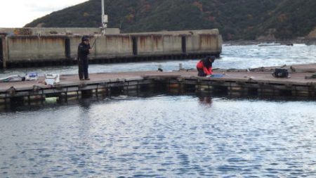 淡路じゃのひれフィッシングパーク 釣果