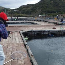 淡路じゃのひれフィッシングパーク 釣果