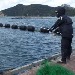 淡路じゃのひれフィッシングパーク 釣果