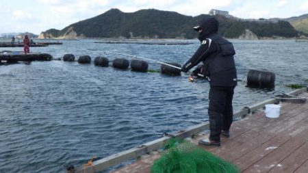 淡路じゃのひれフィッシングパーク 釣果