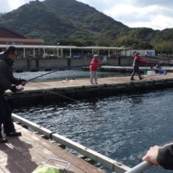 淡路じゃのひれフィッシングパーク 釣果