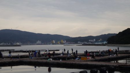 淡路じゃのひれフィッシングパーク 釣果