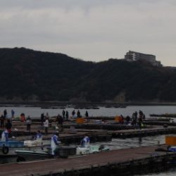 淡路じゃのひれフィッシングパーク 釣果