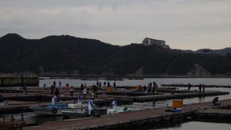 淡路じゃのひれフィッシングパーク 釣果