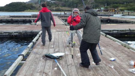 淡路じゃのひれフィッシングパーク 釣果