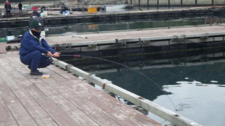 淡路じゃのひれフィッシングパーク 釣果