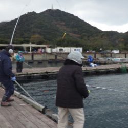 淡路じゃのひれフィッシングパーク 釣果