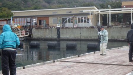 淡路じゃのひれフィッシングパーク 釣果