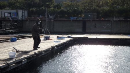 淡路じゃのひれフィッシングパーク 釣果