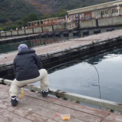 淡路じゃのひれフィッシングパーク 釣果