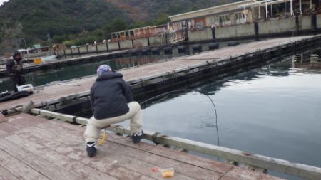 淡路じゃのひれフィッシングパーク 釣果