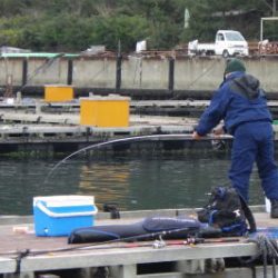 淡路じゃのひれフィッシングパーク 釣果