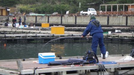 淡路じゃのひれフィッシングパーク 釣果