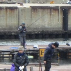 淡路じゃのひれフィッシングパーク 釣果