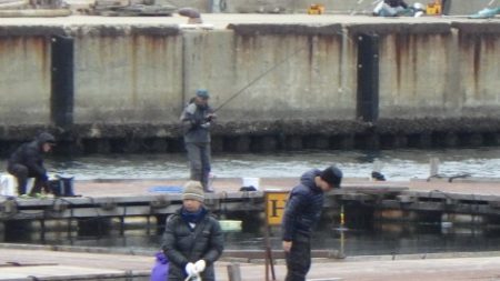 淡路じゃのひれフィッシングパーク 釣果