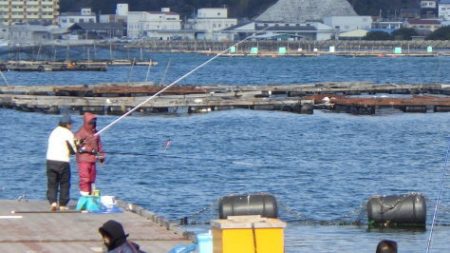 淡路じゃのひれフィッシングパーク 釣果