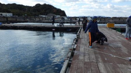 淡路じゃのひれフィッシングパーク 釣果