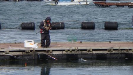 淡路じゃのひれフィッシングパーク 釣果