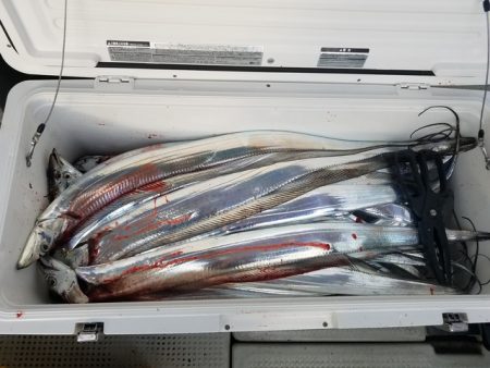 遊漁船　ニライカナイ 釣果