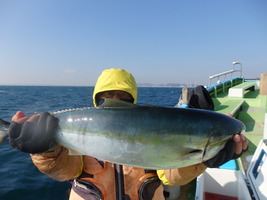 久里浜黒川本家 釣果