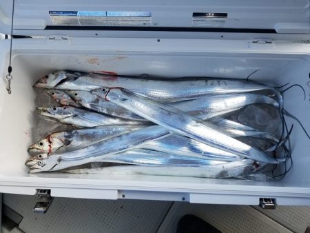 遊漁船　ニライカナイ 釣果