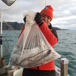 遊漁船　ニライカナイ 釣果