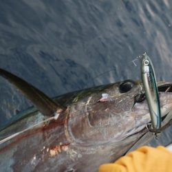へいみつ丸 釣果