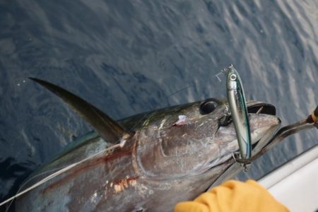 へいみつ丸 釣果