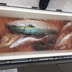 龍宮丸 釣果