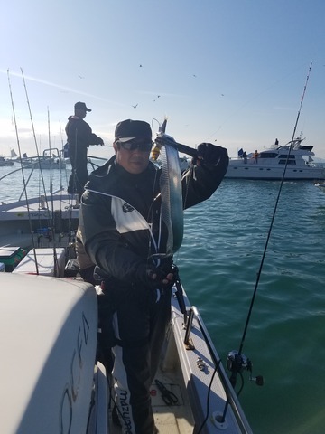 遊漁船　ニライカナイ 釣果