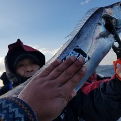 遊漁船　ニライカナイ 釣果