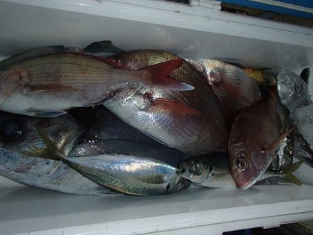 第二むつ漁丸 釣果