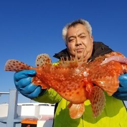 しまや丸 釣果