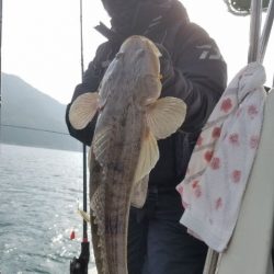 Magic（マジック） 釣果