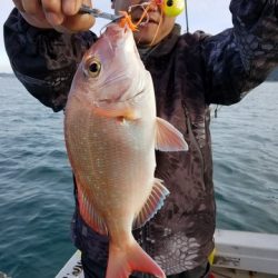 遊漁船 ニライカナイ 釣果