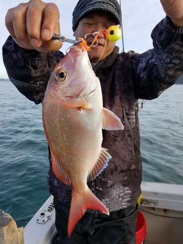 遊漁船 ニライカナイ 釣果
