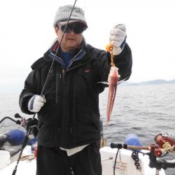 開進丸 釣果
