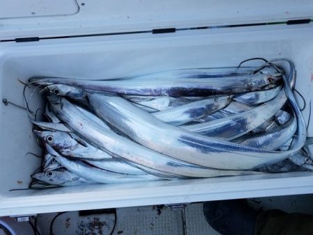 遊漁船　ニライカナイ 釣果