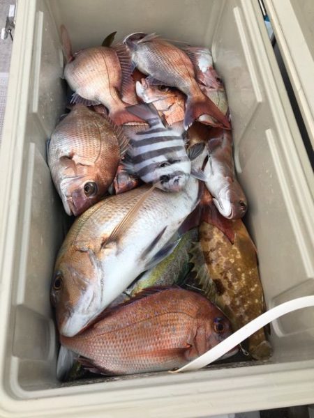 龍宮丸 釣果