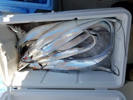 遊漁船　ニライカナイ 釣果