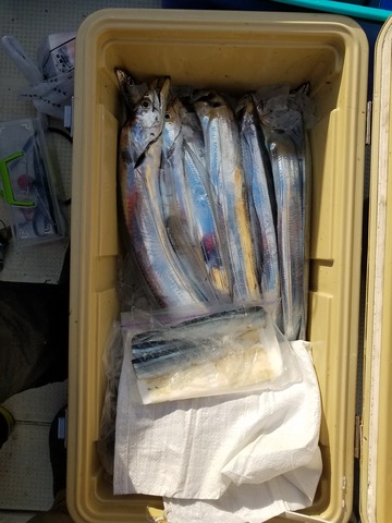 遊漁船　ニライカナイ 釣果