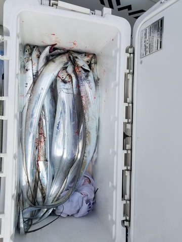 遊漁船　ニライカナイ 釣果