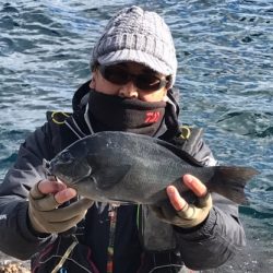 鵜来島家本渡船 釣果