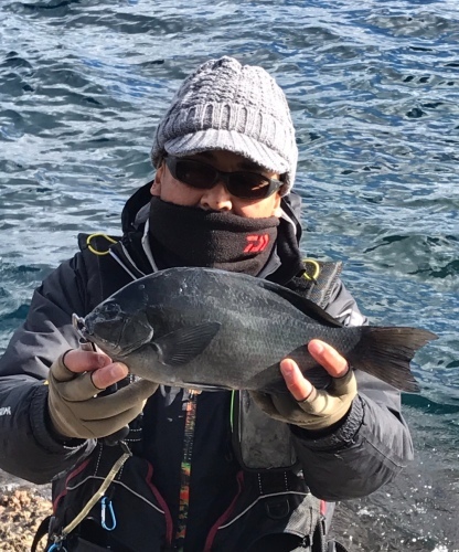 鵜来島家本渡船 釣果