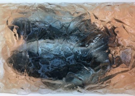 鵜来島家本渡船 釣果