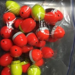 鵜来島家本渡船 釣果