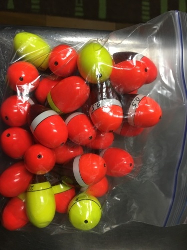 鵜来島家本渡船 釣果