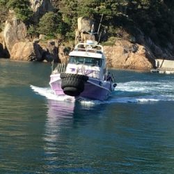 鵜来島家本渡船 釣果