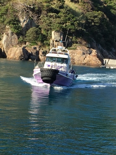 鵜来島家本渡船 釣果