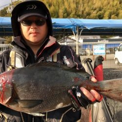 鵜来島家本渡船 釣果